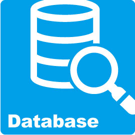 Database